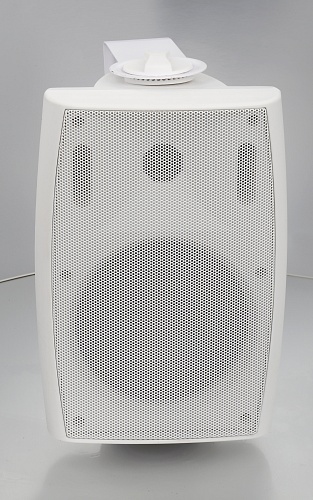 SVS Audiotechnik WS-60W громкоговорители настенные